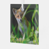Kutest Baby Animals | Baby Red Fox Glas Ornament (Voorkant links)