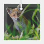 Kutest Baby Animals | Baby Red Fox Glas Ornament (Voorkant)