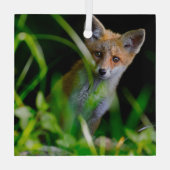 Kutest Baby Animals | Baby Red Fox Glas Ornament (Achterkant)