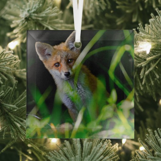 Kutest Baby Animals | Baby Red Fox Glas Ornament (Insitu)