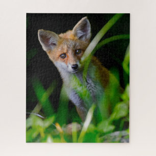 Kutest Baby Animals   Baby Red Fox Legpuzzel
