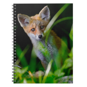 Kutest Baby Animals Baby Red Fox Notitieboek