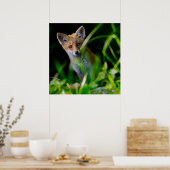 Kutest Baby Animals | Baby Red Fox Poster (Keuken)