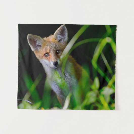 Kutest Baby Animals | Baby Red Fox Wandkleed (Voorkant (horizontaal))