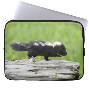 Kutest Baby Animals Baby Skunk Laptop Sleeve