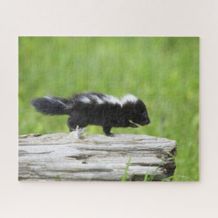 Kutest Baby Animals   Baby Skunk Legpuzzel