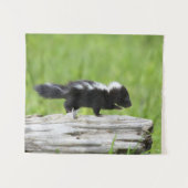 Kutest Baby Animals | Baby Skunk Wandkleed (Voorkant (horizontaal))