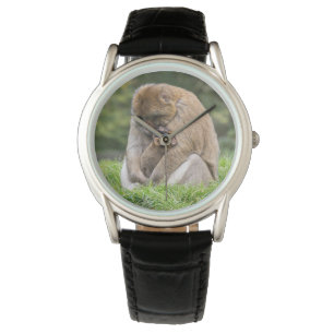 Kutest Baby Animals Barbary Macaque Horloge