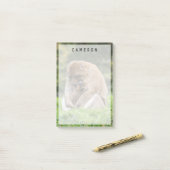 Kutest Baby Animals | Barbary Macaque Post-it® Notes (Op bureau)
