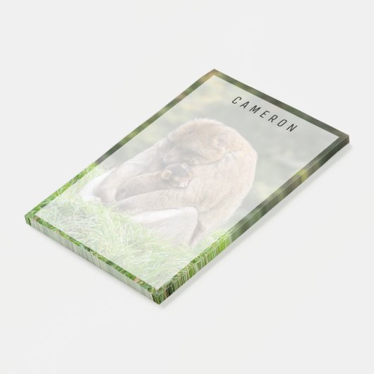 Kutest Baby Animals | Barbary Macaque Post-it® Notes (Schuin)
