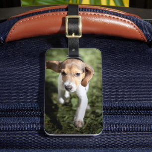 Kutest Baby Animals Beagle Puppy Bagagelabel