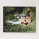 Kutest Baby Animals | Beagle Puppy Legpuzzel (Horizontaal)