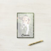 Kutest Baby Animals | Beagle Puppy Post-it® Notes (Op bureau)