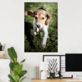Kutest Baby Animals | Beagle Puppy Poster (Thuiskantoor)