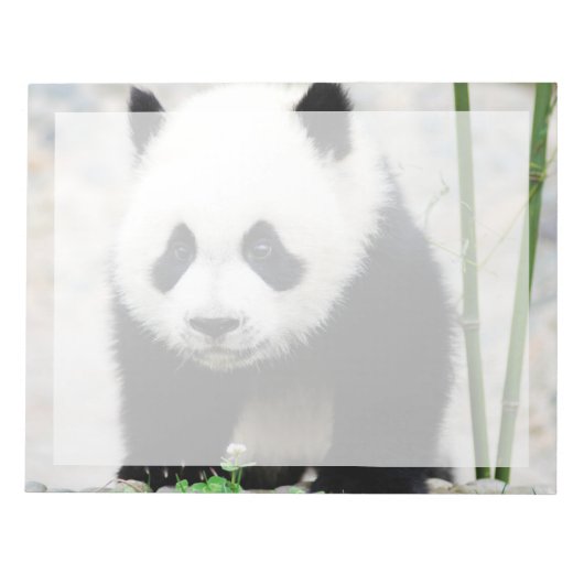Kutest Baby Animals | Beer Baby Panda Notitieblok (Voorkant)