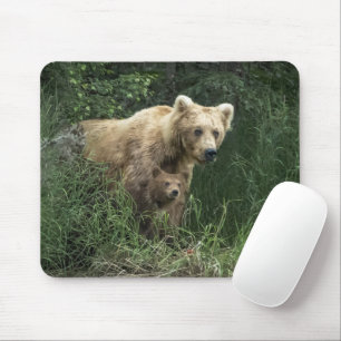 Kutest Baby Animals   Beer Mama Beer en haar kubus Muismat