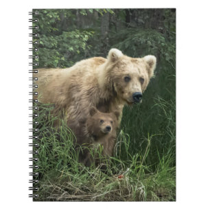 Kutest Baby Animals Beer Mama Beer en haar kubus Notitieboek