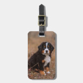 Kutest Baby Animals | Bernese Mountain Dog Bagagelabel (Voorkant verticaal)