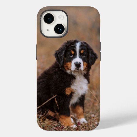 Kutest Baby Animals | Bernese Mountain Dog Case-Mate iPhone Case (Achterkant)