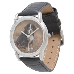 Kutest Baby Animals   Bernese Mountain Dog Horloge
