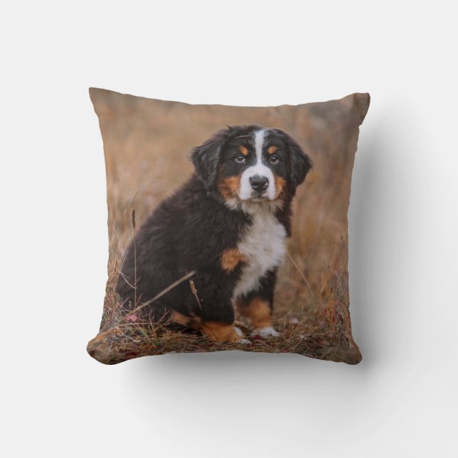 Kutest Baby Animals | Bernese Mountain Dog Kussen (Voorkant)