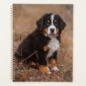 Kutest Baby Animals | Bernese Mountain Dog Planner (Voorkant)