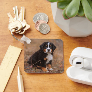 Kutest Baby Animals   Bernese Mountain Dog Sleutelhanger