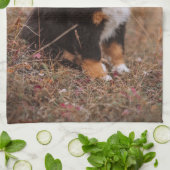 Kutest Baby Animals | Bernese Mountain Dog Theedoek (Gevouwen)