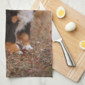 Kutest Baby Animals | Bernese Mountain Dog Theedoek (Quarter Fold)