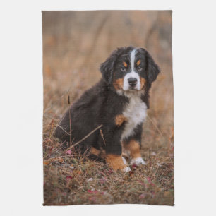Kutest Baby Animals Bernese Mountain Dog Theedoek
