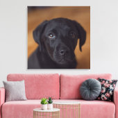 Kutest Baby Animals | Black Labrador Puppy Canvas Afdruk (Insitu (Woonkamer))
