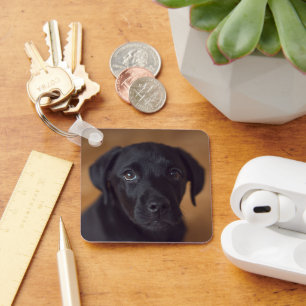 Kutest Baby Animals Black Labrador Puppy Sleutelhanger