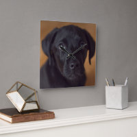 Kutest Baby Animals | Black Labrador Puppy