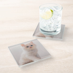 Kutest Baby Animals Blue Eye Kitten Glazen Onderzetter
