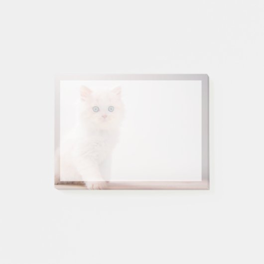 Kutest Baby Animals | Blue Eye Kitten Post-it® Notes (Voorkant)
