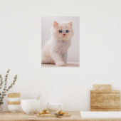 Kutest Baby Animals | Blue Eye Kitten Poster (Keuken)