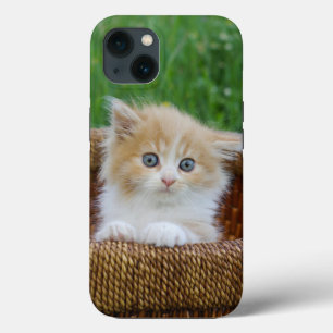 Kutest Baby Animals Blue Eyed Kitten iPhone 13 Hoesje
