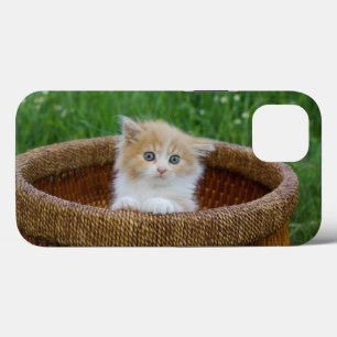 Kutest Baby Animals Blue Eyed Kitten iPhone 13 Hoesje