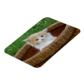 Kutest Baby Animals | Blue Eyed Kitten Magneet (Linkerzijde)