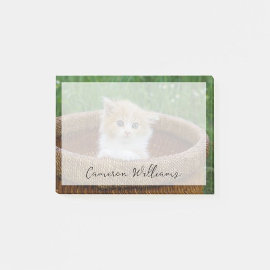 Kutest Baby Animals | Blue Eyed Kitten Post-it® Notes (Voorkant)