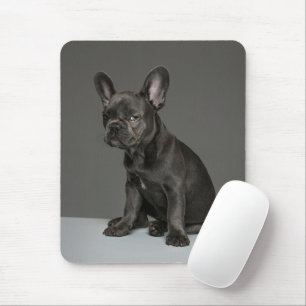 Kutest Baby Animals Blue French Bulldog Puppy Muismat