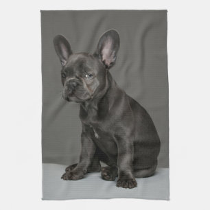 Kutest Baby Animals Blue French Bulldog Puppy Theedoek