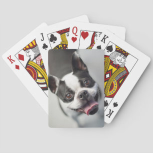 Kutest Baby Animals   Boston Bulldog Smile Pokerkaarten