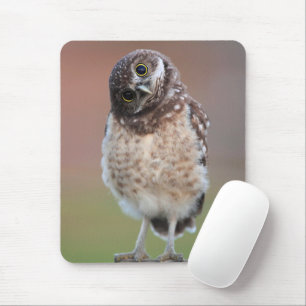 Kutest Baby Animals Bouw van kippen Muismat