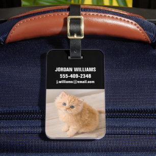Kutest Baby Animals British Longhair Kitten Bagagelabel