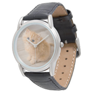 Kutest Baby Animals   British Longhair Kitten Horloge