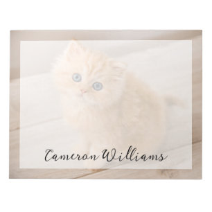 Kutest Baby Animals   British Longhair Kitten Notitieblok