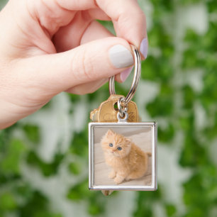 Kutest Baby Animals British Longhair Kitten Sleutelhanger