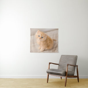 Kutest Baby Animals British Longhair Kitten Wandkleed