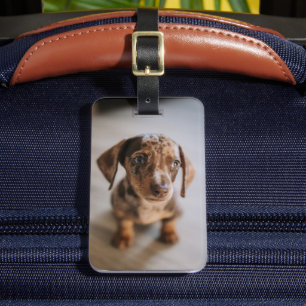 Kutest Baby Animals Bruin Dachshund Puppy Bagagelabel